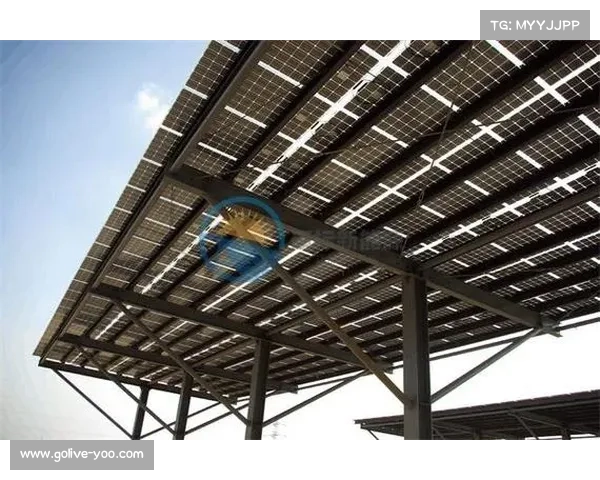 游泳亚洲杯硬件全面升级 光伏顶棚助力30%用电需求自给